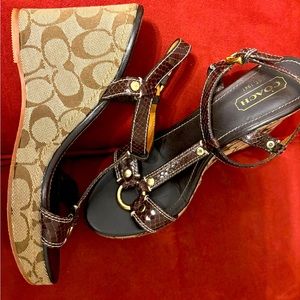 Designer Coach Shoes